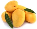 Mangos-PNG-HD-Quality