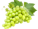 WHITE-SEEDLESS-GRAPES-1-1024x937